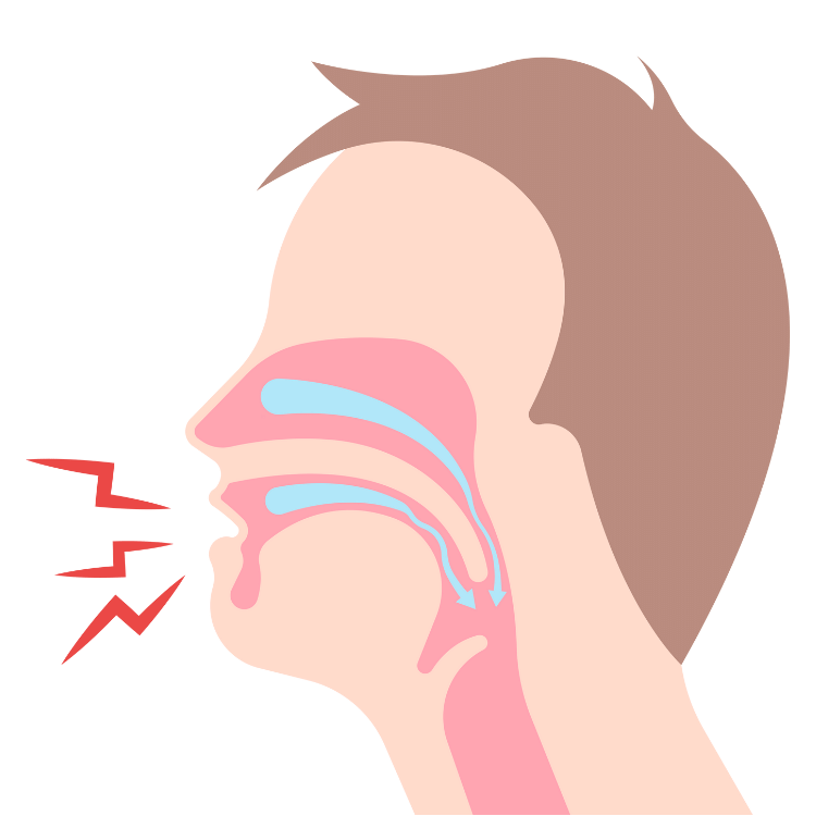 drsnore 12 1